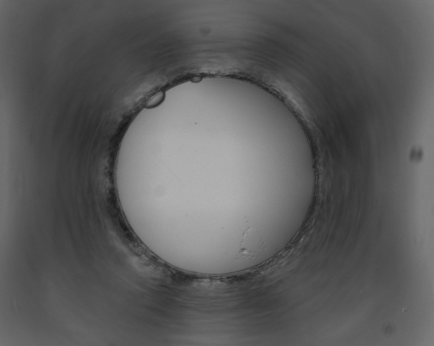 X0000094070354200710191001