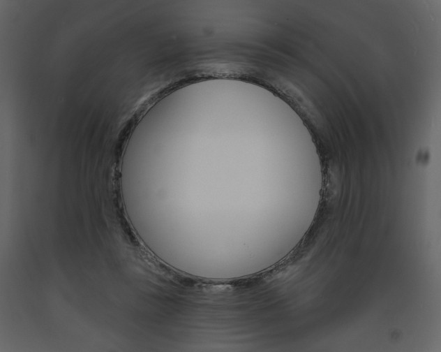 X0000094070355200710191001