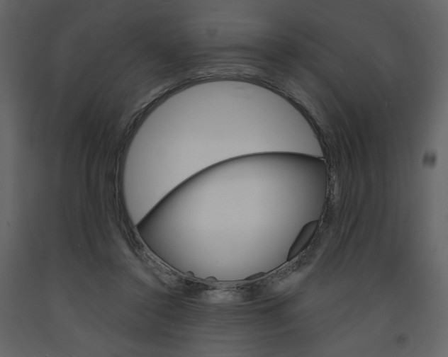 X0000094070356200710191001