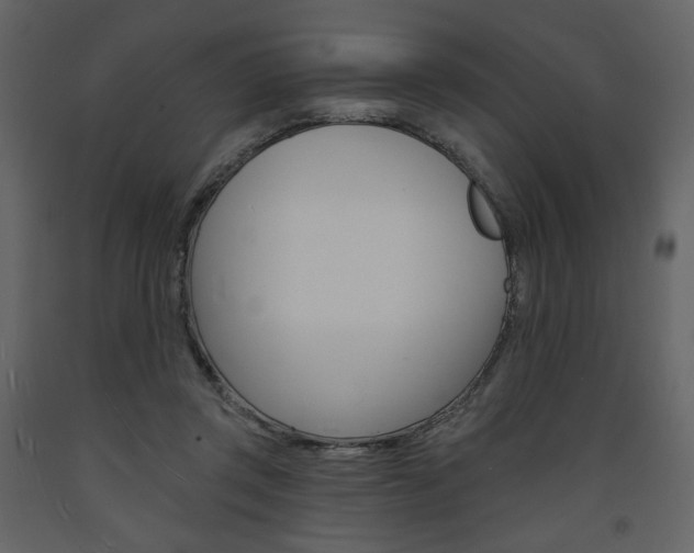 X0000094070357200710191001
