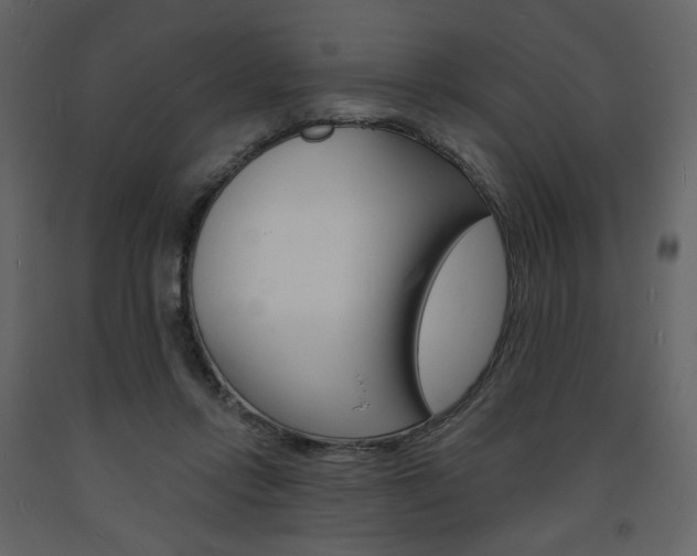 X0000094070358200710191001