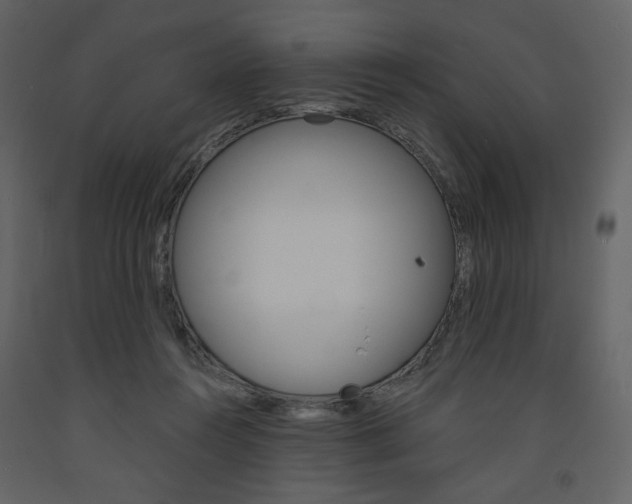 X0000094070360200710191001