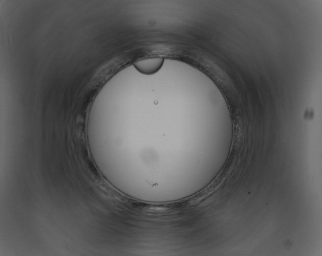 X0000094070361200710191001