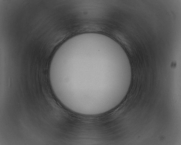 X0000094070362200710191001