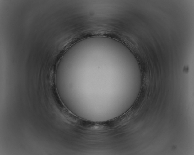 X0000094070364200710191001