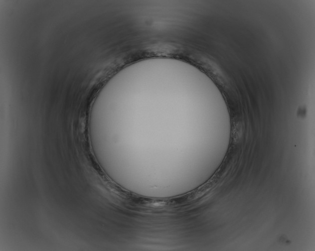 X0000094070365200710191001