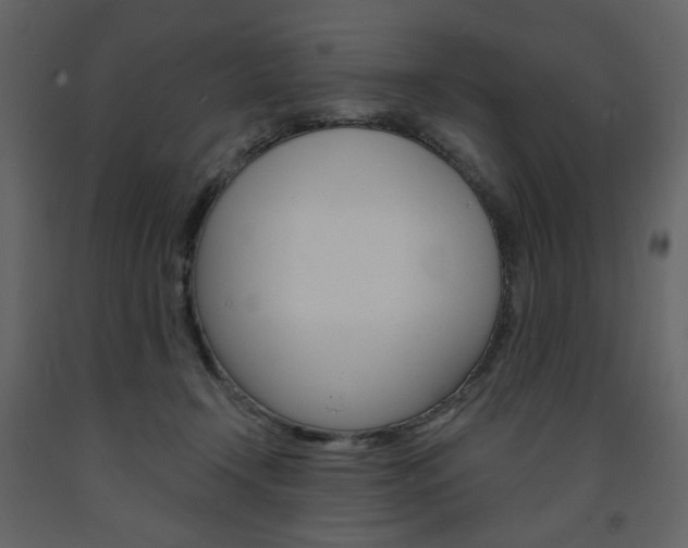 X0000094070366200710191001