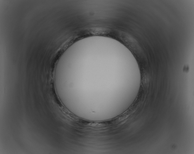 X0000094070367200710191001