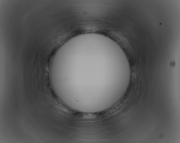 X0000094070369200710191001