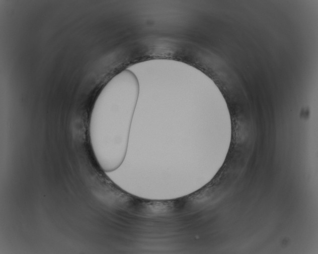 X0000094070370200710191001
