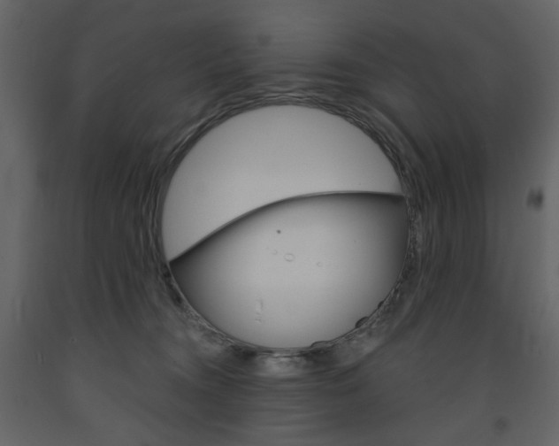 X0000094070372200710191001