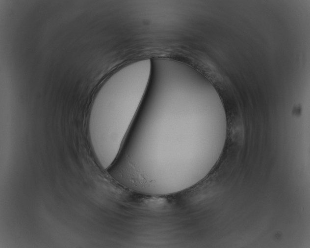 X0000094070374200710191001