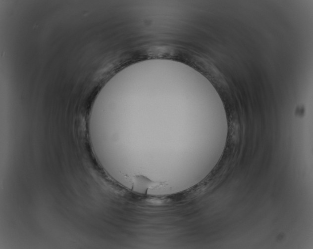 X0000094070375200710191001
