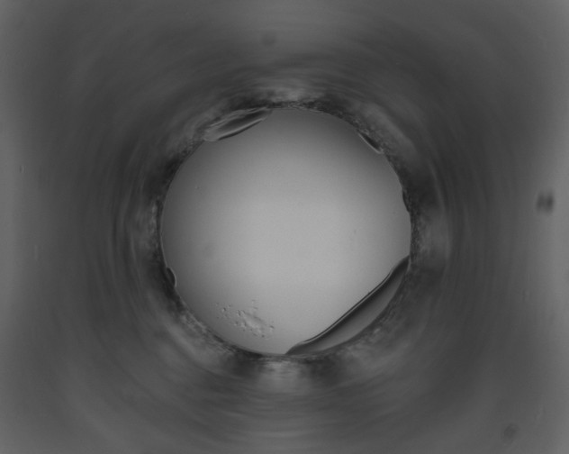 X0000094070376200710191001
