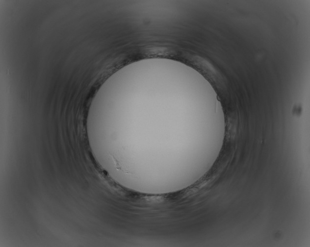 X0000094070377200710191001