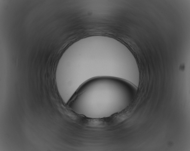 X0000094070380200710191001