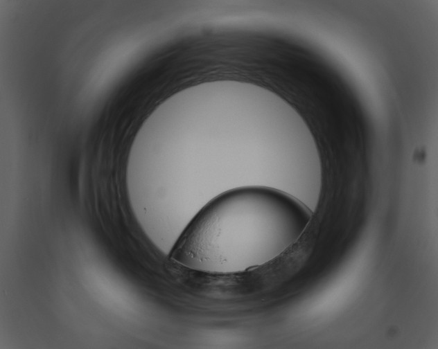 X0000094070382200710191001