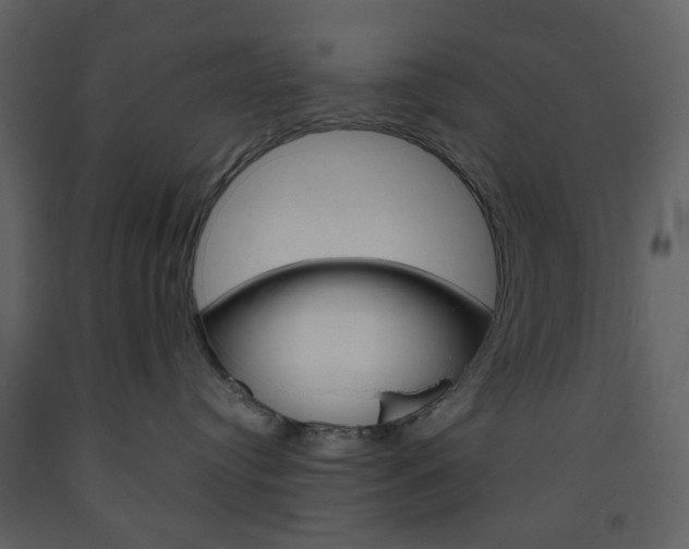 X0000094070384200710191001