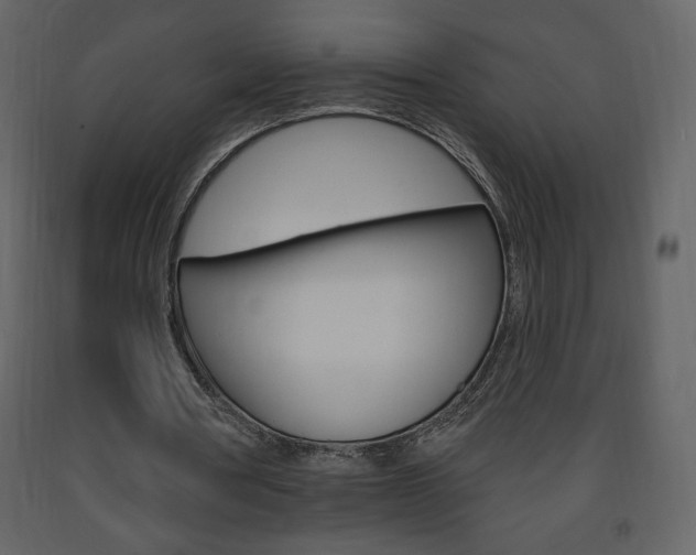 X0000094070386200710191000