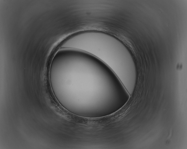 X0000094070388200710191000