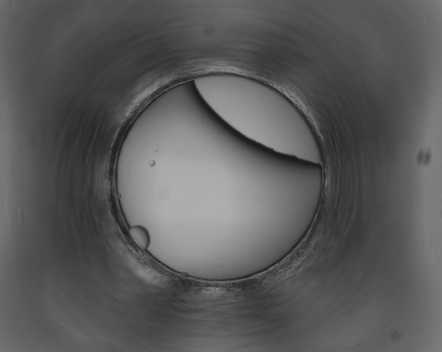 X0000094070390200710191000
