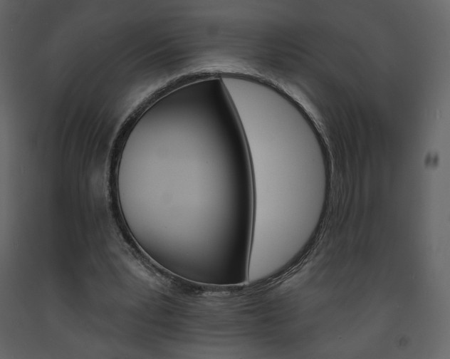 X0000094070391200710191000