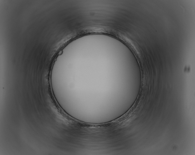 X0000094070394200710191000