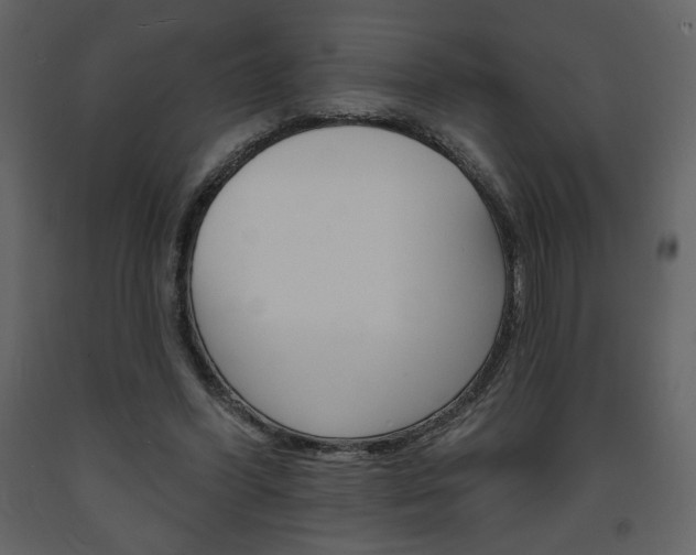 X0000094070396200710191000