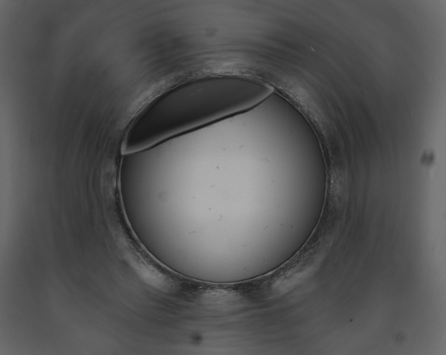 X0000094070397200710191000