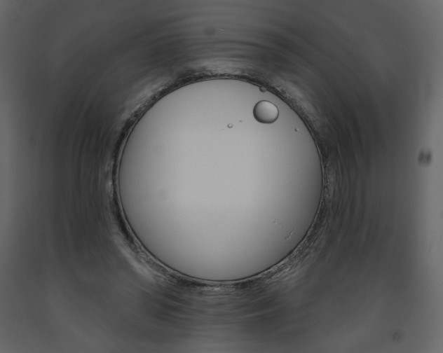 X0000094070398200710191000