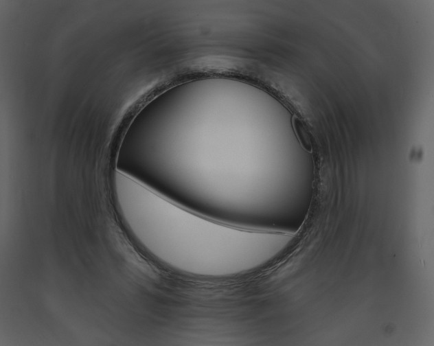 X0000094070399200710191000