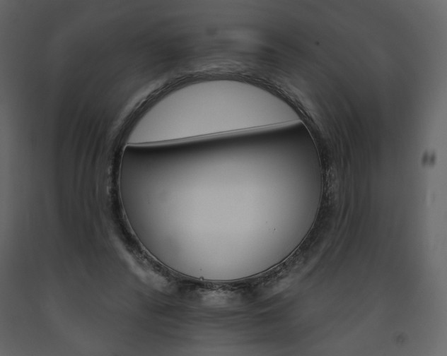 X0000094070400200710191000