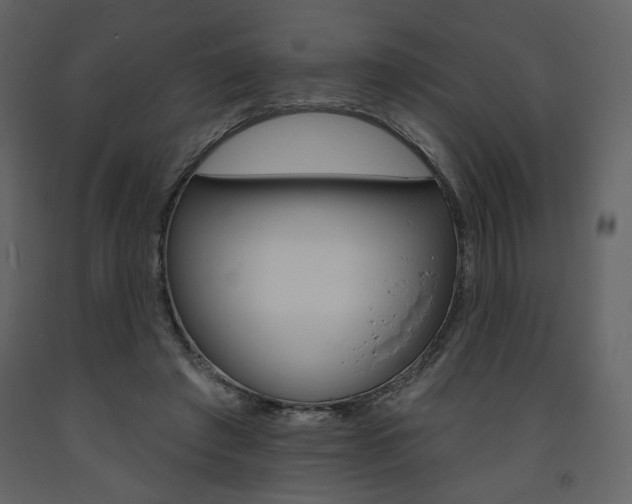 X0000094070401200710191000