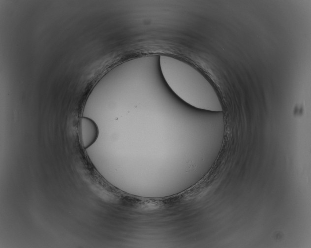 X0000094070402200710191000