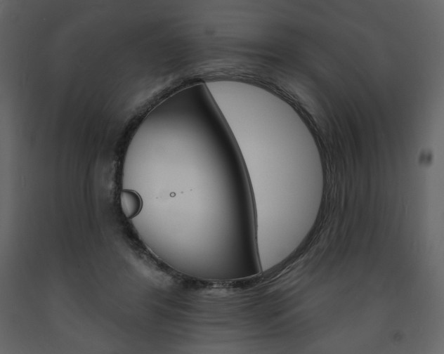X0000094070404200710191000