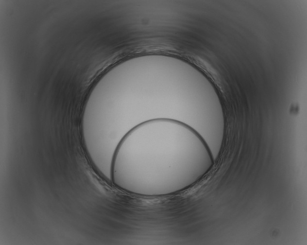 X0000094070405200710191000