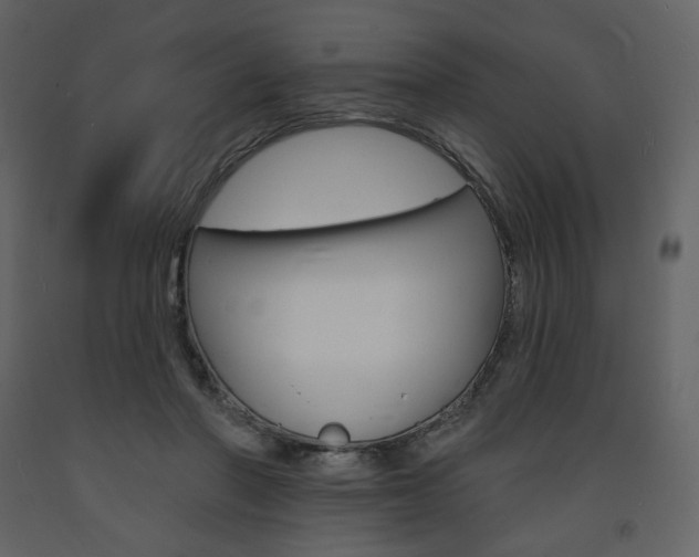 X0000094070406200710191000