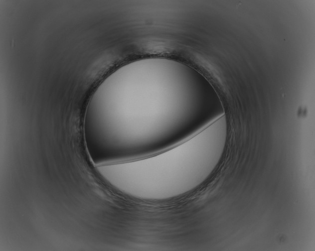 X0000094070407200710191000
