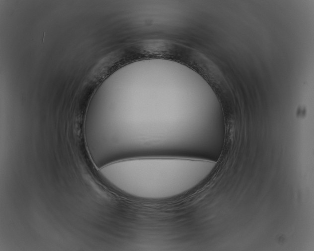 X0000094070408200710191000