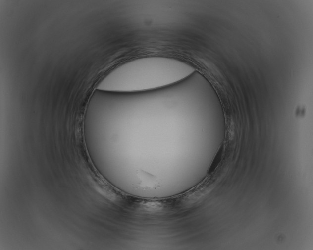 X0000094070409200710191000
