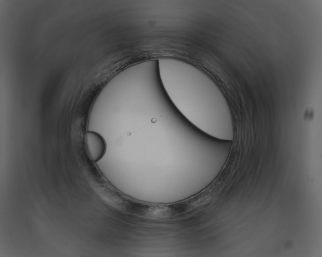 X0000094070410200710191000