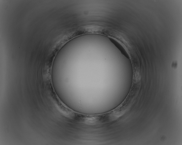 X0000094070411200710191000