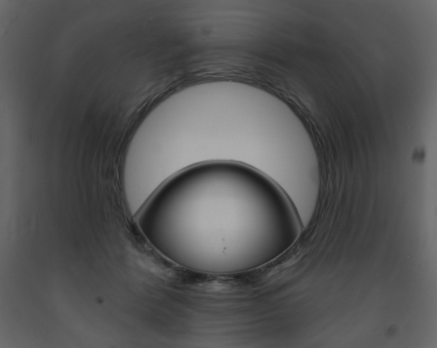 X0000094070412200710191000