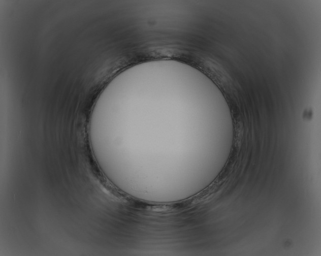 X0000094070414200710191000