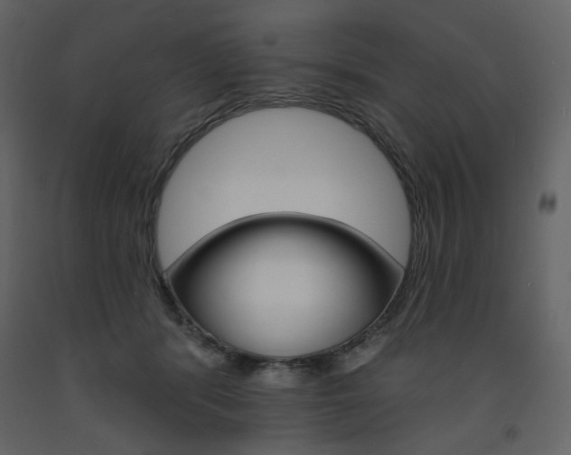 X0000094070416200710191000