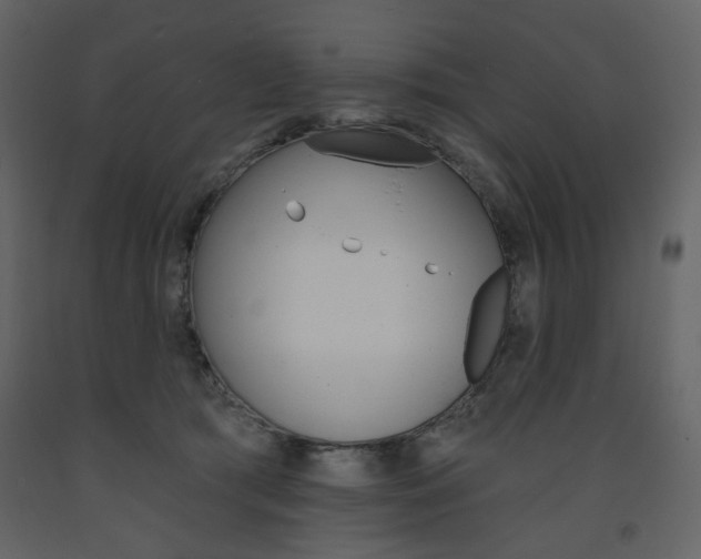 X0000094070417200710191000