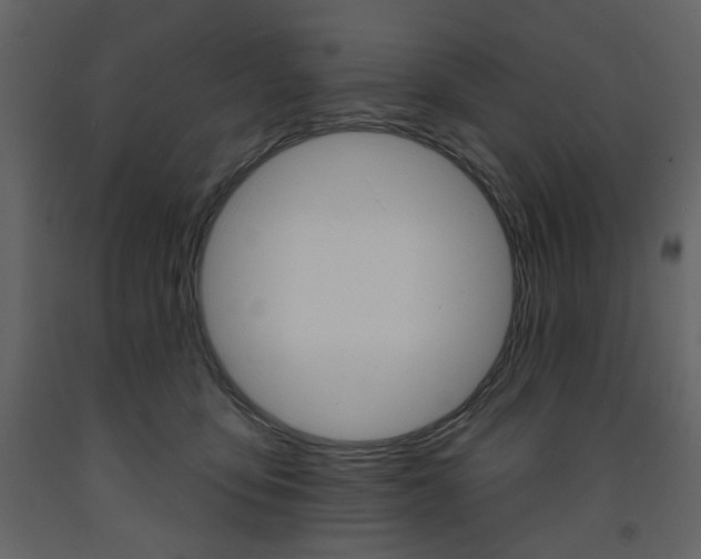 X0000094070419200710191000