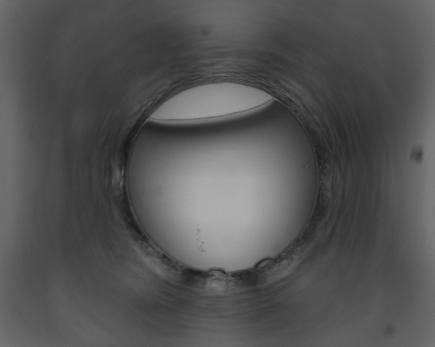 X0000094070420200710191000