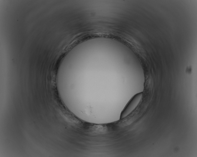 X0000094070421200710191000