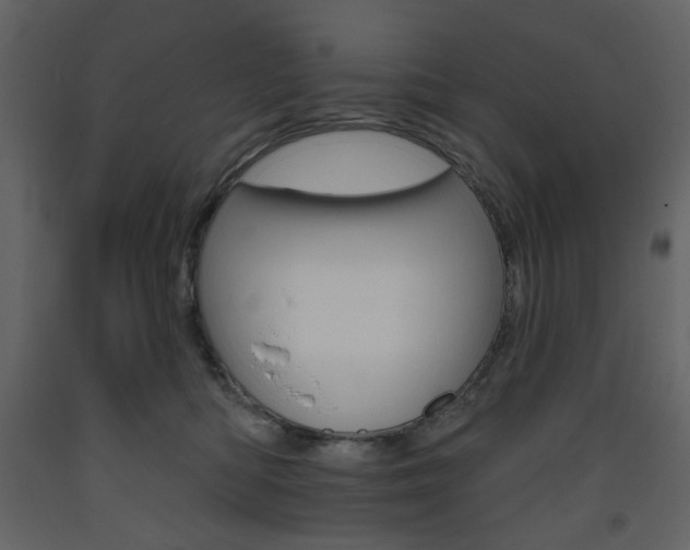 X0000094070422200710191000